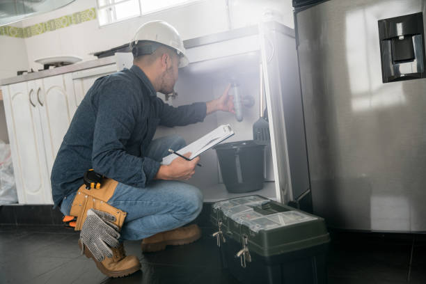 Best Local Plumber Services  in Michigan City, IN