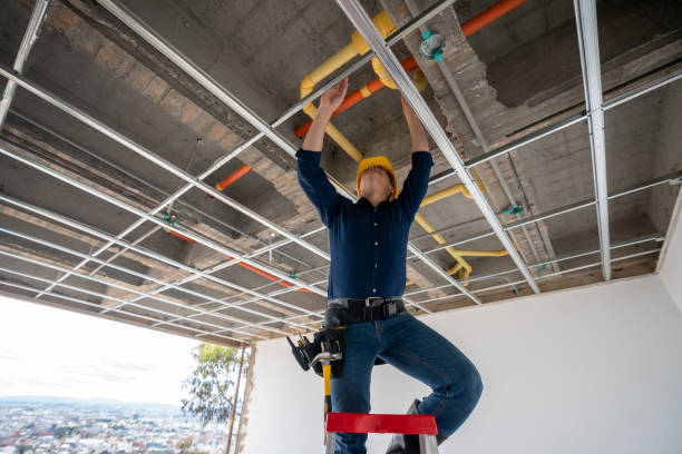 Best Plumbing Inspection Services  in Michigan City, IN