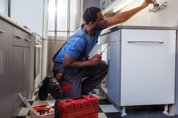 Best Emergency Plumber  in Michigan City, IN