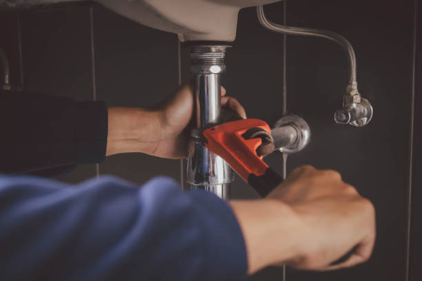 Best Affordable Plumbing Services  in Michigan City, IN